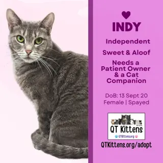 Indy