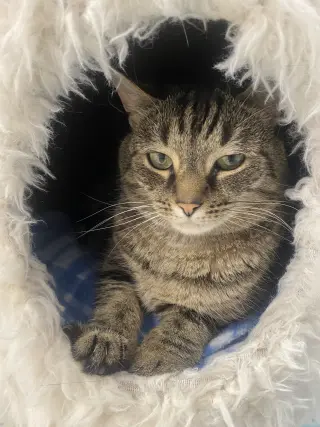 Charlene (bonded to Emory) - KBC