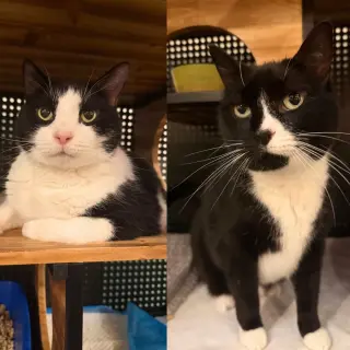Butterball & Tofurkey