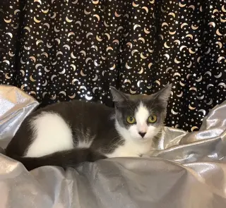 Tilly