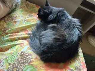 Minaj