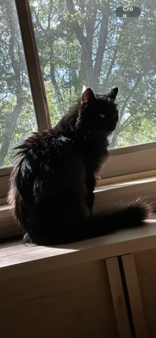 Minaj