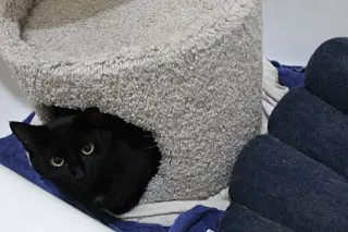Buster Bonded with Ray Ray