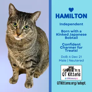 Hamilton