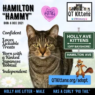 Hamilton
