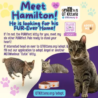 Hamilton