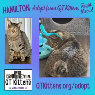 Hamilton