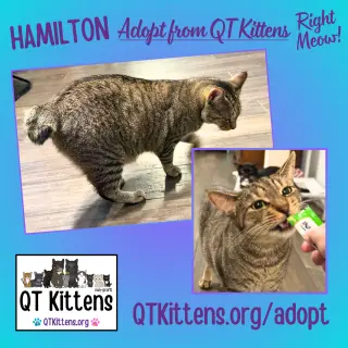Hamilton