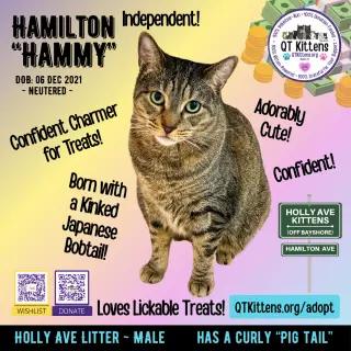Hamilton