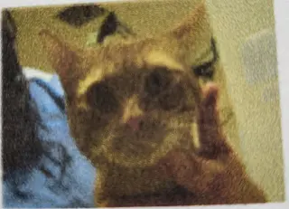Zak