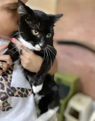 Maia