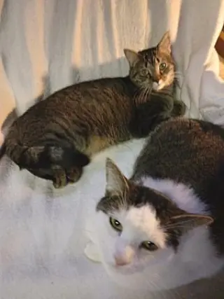 Lucky Girl