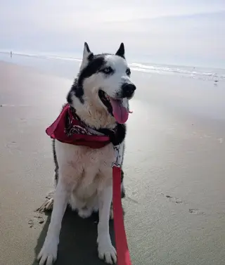 Axel