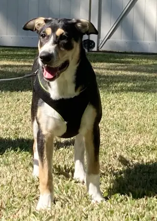 Xena