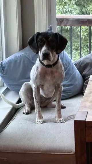 Liliana