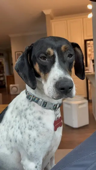 Liliana