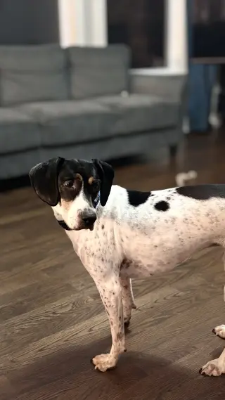 Liliana