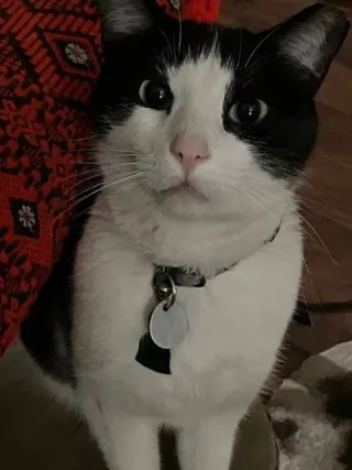 Salt & Pepper