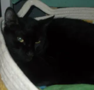 Luna