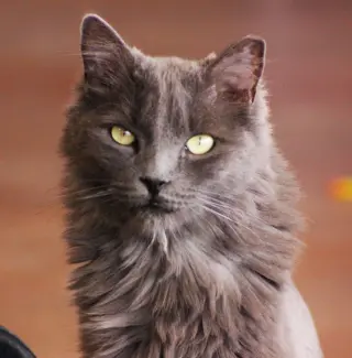 Hubbard