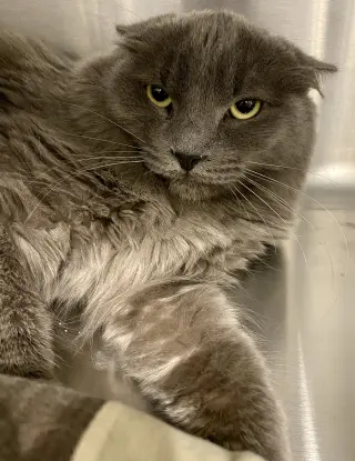 Hubbard