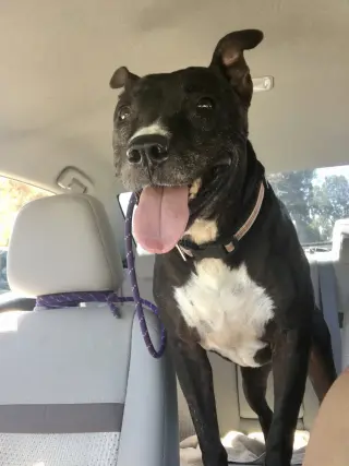 Xena Girl