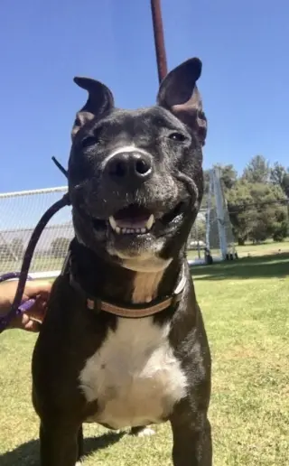 Xena Girl