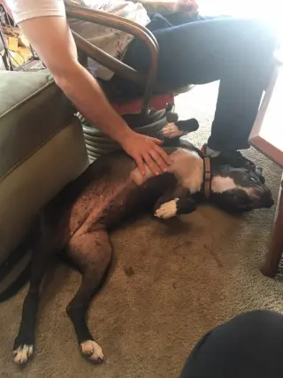 Xena Girl