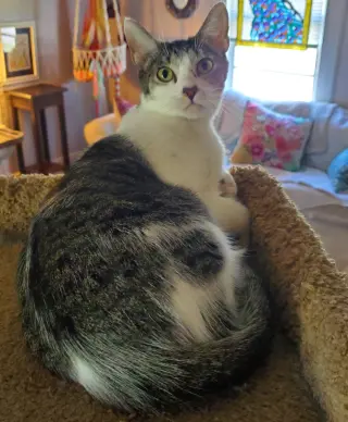 Martha