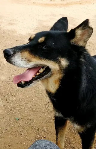 Hunter