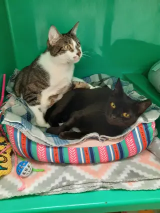 Finn AND Baby