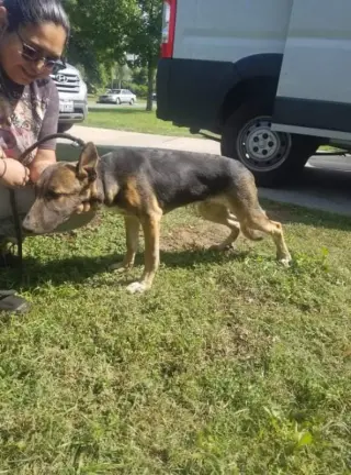 Leo