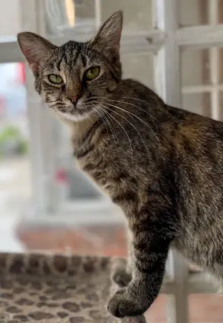 Kate
