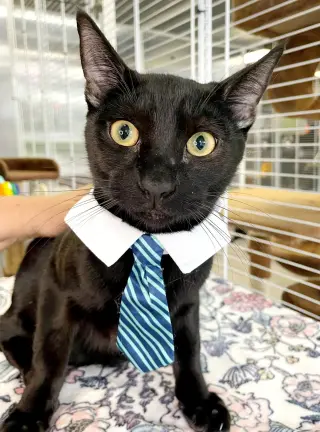 Gary