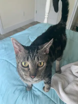 Mama-Molly Girl