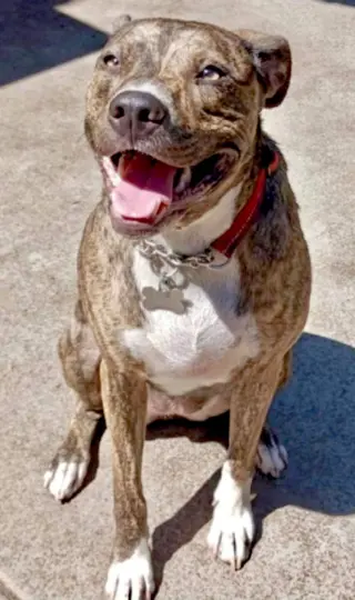 Jinx