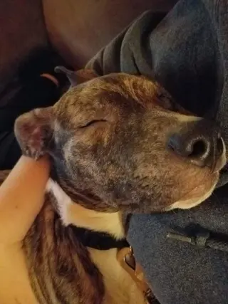Jinx