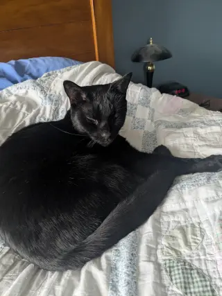 Franklin