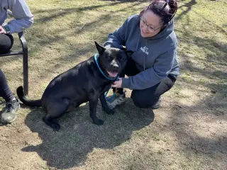 Bruno aka Mr. WooWoo