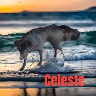 Celeste