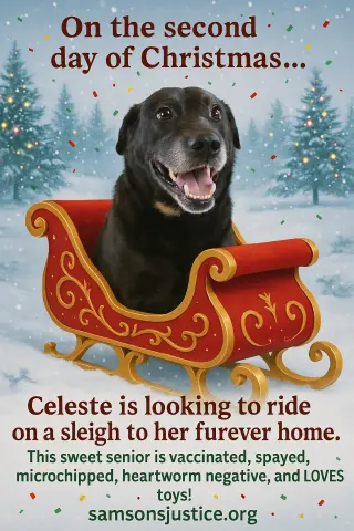 Celeste