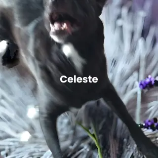 Celeste