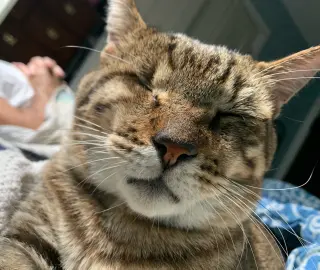 One Eyed Jack