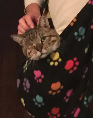 One Eyed Jack