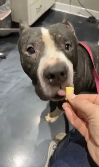 Sampson