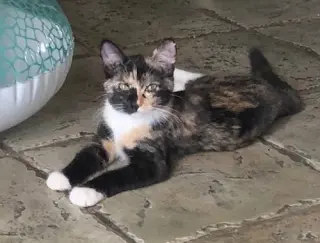CARMILLA