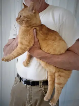 Oliver