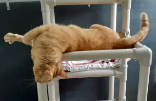 Oliver