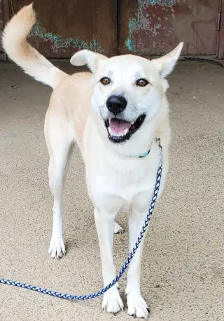 Luna