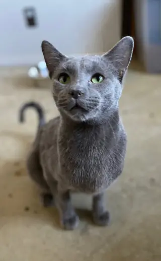 Slate